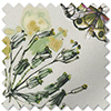 Grove, Fennel - Roman Blind